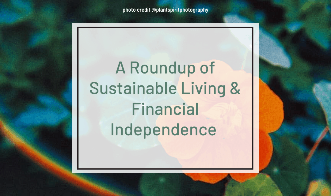 permaculture and financial independence