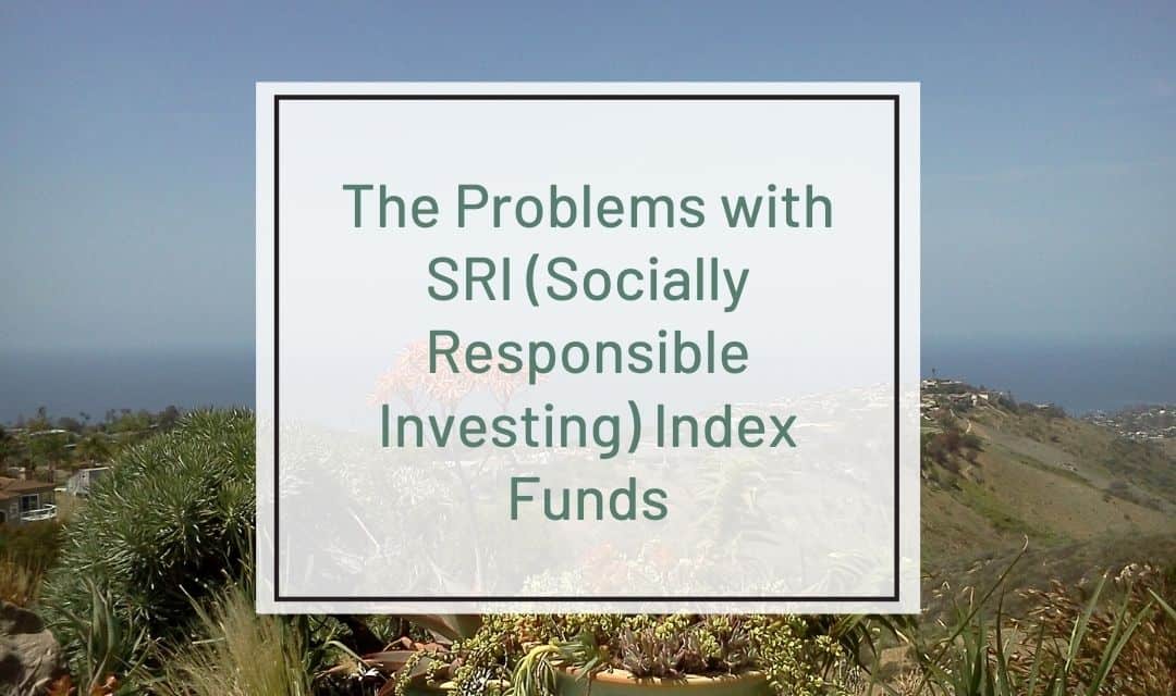 problems with SRI Index Funds